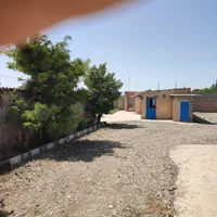 گاوداری۲۵۰۰متری بامجوز۵۰راسی احمدآبادمصدق|فروش دفتر صنعتی، کشاورزی، تجاری|آبیک, |دیوار