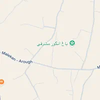 فروش باغ انگور در ملکان قطعه ۱|فروش زمین و ملک کلنگی|ملکان, |دیوار