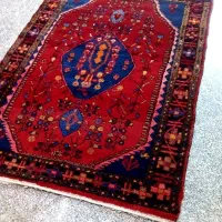 قالی نهاوند و قشقایی آنتیک|فرش|قم, باغ کرباسی|دیوار