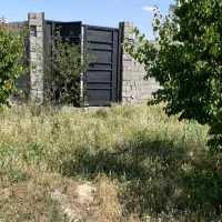 باغ چهاردیواری ۱۵۰۰متر دربهترین لوکیشن دهشادشهریار|فروش دفتر صنعتی، کشاورزی، تجاری|تهران, تهرانسر مرکزی|دیوار