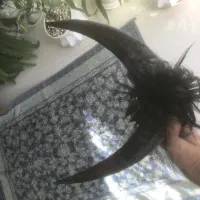 شاخ دوبور بز|کلکسیون و سرگرمی|خمینی‌شهر, |دیوار