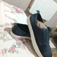 کفش داخل دوردوز تبریزسایز42