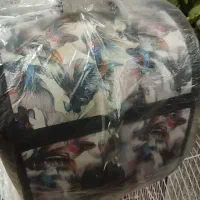 قفس مسافرتی پرنده یا حیوانات کوچک