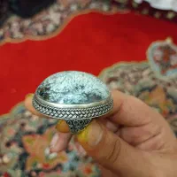 انگشتر غول پیکر شجر بهاری