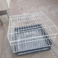 قفس خرگوش