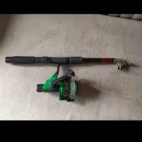 لنسر ماهیگیر ی .