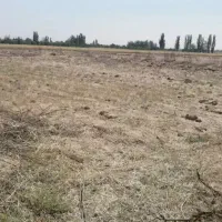 زمین-رباط-کریم-سندتک-برگ-دونبش-220-متری