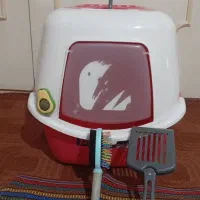 ظرف خاک گربه