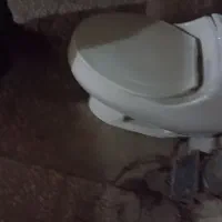 توالت فرنگی