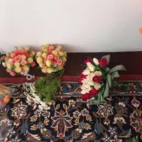 گل ها از ۵۰ هزار تا ۲۰۰ هزار