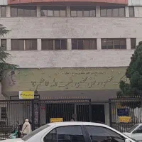 یک جفت گوشواره گم کردم|جواهرات|تهران, ونک|دیوار