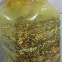 انواع دانه و مکمل تقویتی پرنده