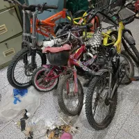 شیش عدد دوچرخه دونه ای ۵۰۰ یکجا