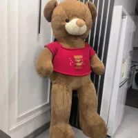 خرس بزرگ کاملا نو