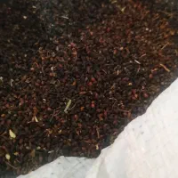 بذر ریحان بنفش