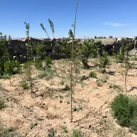 زمین 200 متری چسب بافت روستایی نجم آباد