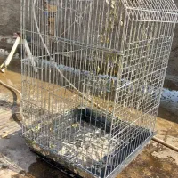 یک عدد قفس پرنده سایز بزگ فروشی