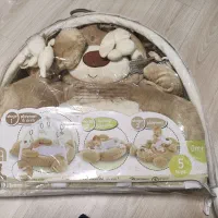 تشک بازی تدی