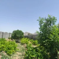 فروش باغ در علویجه