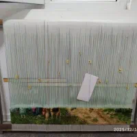 دار چله کشی شده