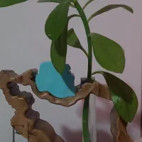 گلجای نقشه ایران