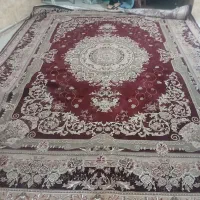 قالی|فرش|شهرکرد, |دیوار