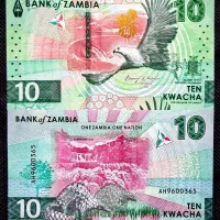 اسکناس کواچای زامبیا