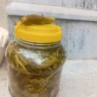 خیار شور خانگی با سبزی و سیر و سرکه ترقی