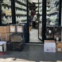 فروشنده برای فروشگاه چینی و ارکوپال