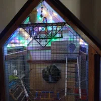 قفس بزرگ چوبی|لوازم جانبی حیوانات|محمدشهر, محمدشهر|دیوار