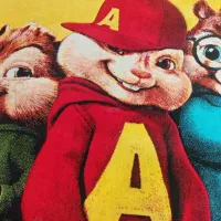 قالی سنجاب ها|فرش|شیراز, قالیشویی|دیوار