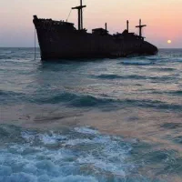 تورکیش باخدمات ویژه