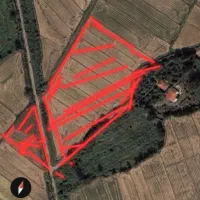 فروش زمین شالیزار