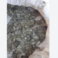 کود کبوتر صحرای