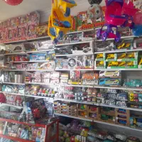 پخش اسباب بازی و عروسک پولشی یگانه|اسباببازی|بیرجند, |دیوار