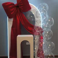 اجرا بادکنک آرایی/دکورگل آرایی/اجاره وسایل دیزاین|خدمات پذیرایی، مراسم|شیراز, شهرک گلستان شمالی|دیوار