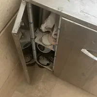 جا سیب زمینی پیازی