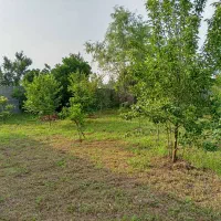 چهار هزار ۵۰۰ متر زمین زیر قیمت فروش فوری