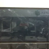 بین کابینتی