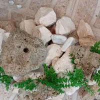 سنگ رنگی|صنایع دستی و سایر لوازم تزئینی|شیراز, ماه فیروزان|دیوار