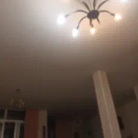 یه همخونه خوب