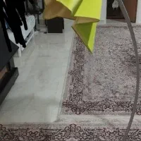 آباژور سبز سالم