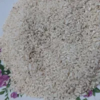 نیم دانه هاشمی