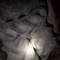 لاستیک  تراکتور ۴۷۵