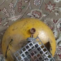 پیکنیک سالم
