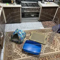 جا پارک گربه سگ لونه ظرف ادرار