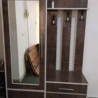 جاکفشی سالم