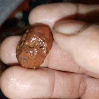 سلام  فروش تعدادی سنگ قیمتی سنگ الماس شهاب سنگ|کلکسیون اشیاء عتیقه|مرودشت, سهل‌آباد|دیوار