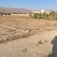 زمین باغی