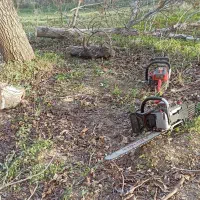 خرید‌و‌هرس‌‌درخت